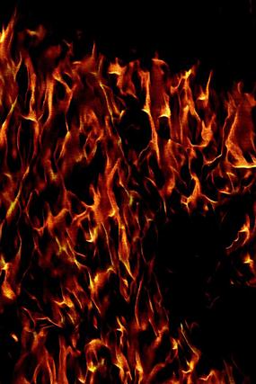 ���Ŵ���������Ʊ���