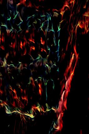 ���Ż���ӡ�����Ʊ���