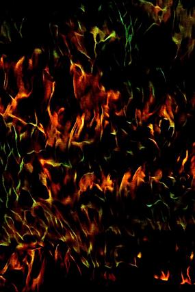 ��ҵ�����ڽ���汳��