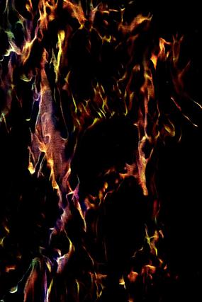 �ݻ���ɫ����ӡ������