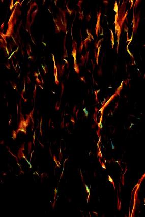 ʱ�кڽ����ӡ������