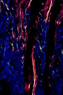 ʱ����ɫ���汳��ͼ��