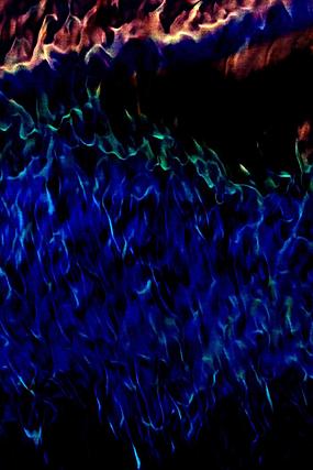 ʱ������������Ʊ���