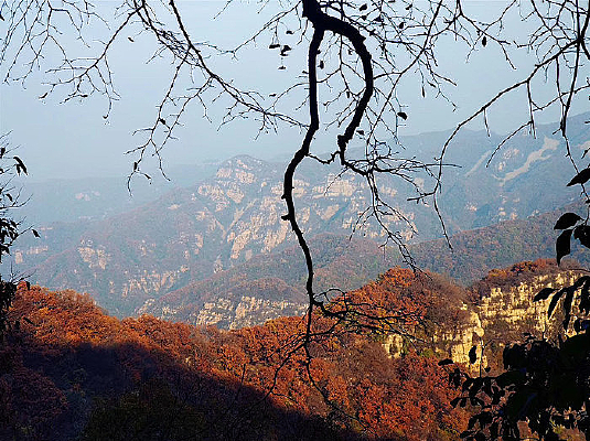 ���ﳤ�Ƿ��