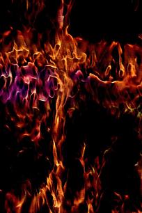 Ψ���Ųʻ�����Ʊ���