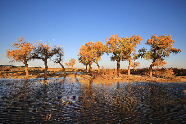 �����еĺ����ֲ�������