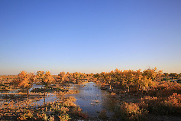 ���¸��ٺ����ֹ۾�̨