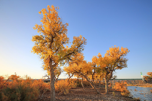 ���¸��ٺ����ֹ۾�̨