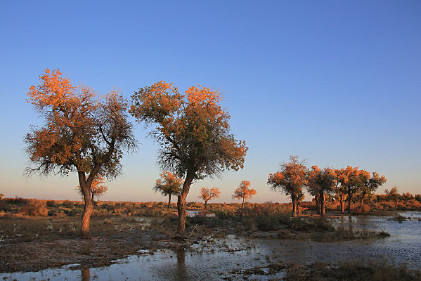 �����½��������