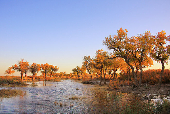 �����½��������