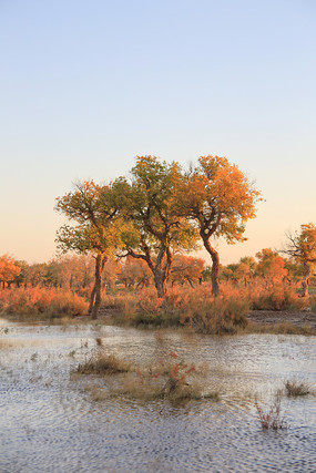 ˮ�еĺ�����