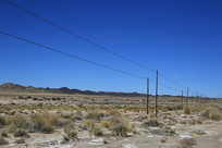 ��Į���̲�ĵ��߸�