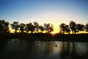 ����ɺ����ֵ�Ӱ���ճ�