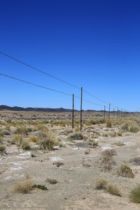 ��ڻ�Į�������߸�