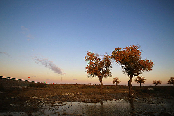 ���¸��ٺ����ֹ۾�̨