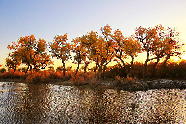 ���¸��ٺ�����ˮ�й۾�̨