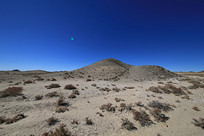 ���¸���������