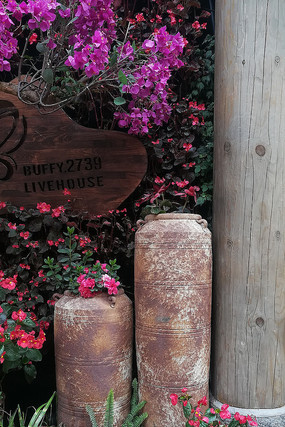 �����Ļ�