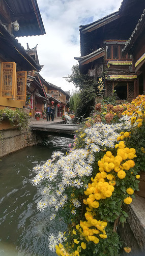 �����ų� 