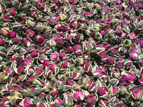 õ�廨���ز�