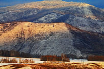 ɽҰɽ��ѩ��ĺɫ