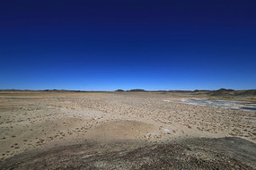 �й���ò�������̲