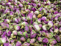 ��ɫ����