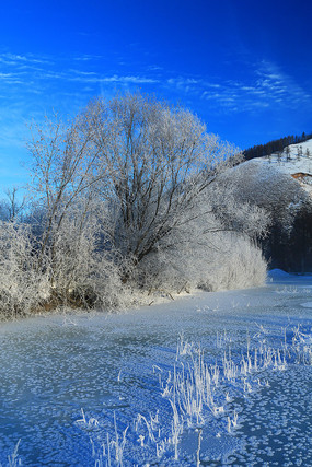 ����������ڡ 