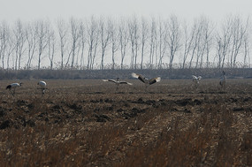 �������ŵ�