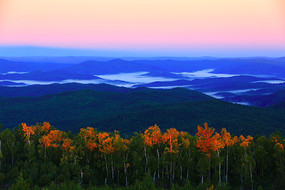 ���˰��볯���ֺ����� 