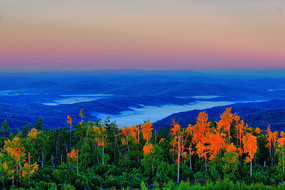 ���˰���ԭʼɭ������