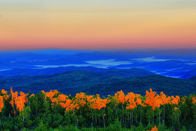 �ֺ����������羰