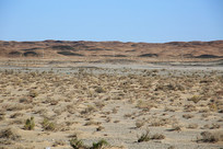 ������Į���̲