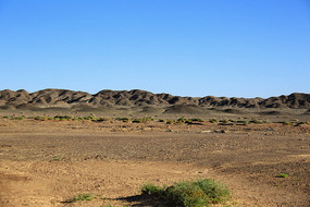 ������Į���̲��������ò