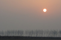 �����״�������