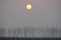 ���������ֵ�����