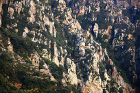 ��ɽ�ϵ������ͱ�