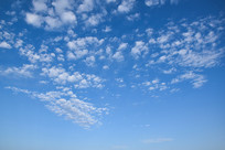 �����ϵ���״����