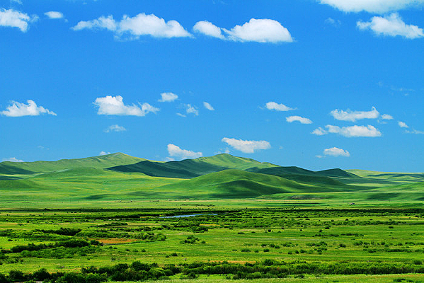 ��ɫ��ɽҰ�ݵ�