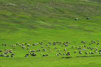 ��ɫɽ��������Ⱥ