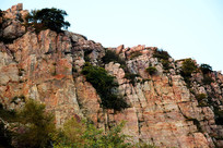 �����ͱ�ͼƬ�ز�