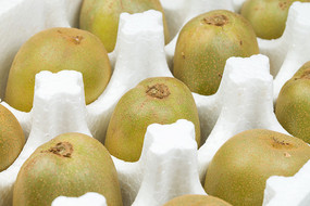 �����۵�⨺���