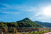 �������Ȼ���÷��