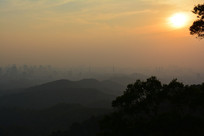 Ϧ������