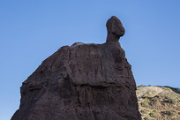 ��ϼ��ò�ֲ���д