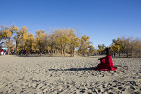 ����̲�������