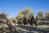 ɳĮ���ռ�������