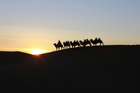 Ϧ���µ�����