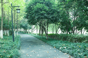 ����������