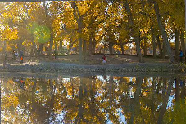 �����ֽ�Ӱ